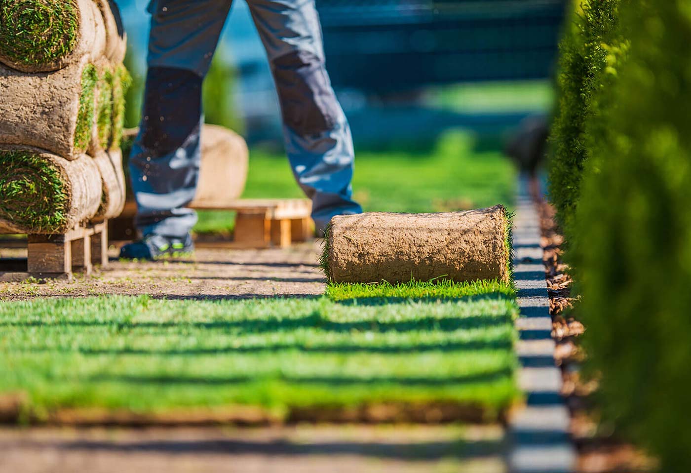 2018 Landscaper Salary Whitepaper | HomeAdvisor